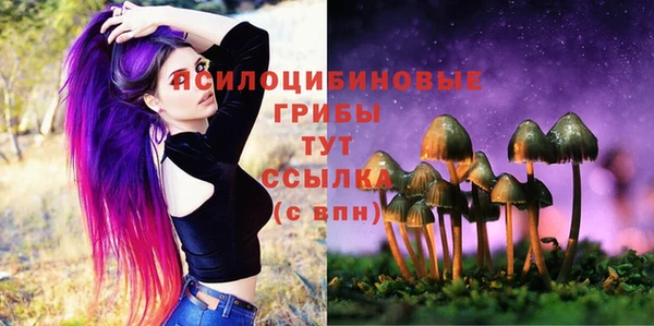 эйфоретик Алексин