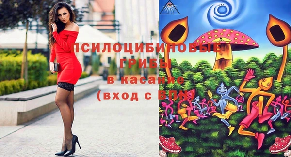 эйфоретик Алексин